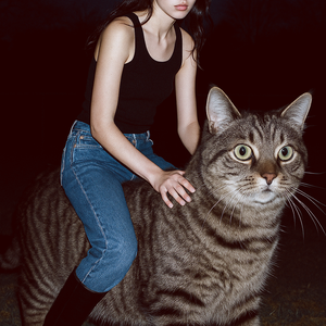 RIDING CAT.png (loading)